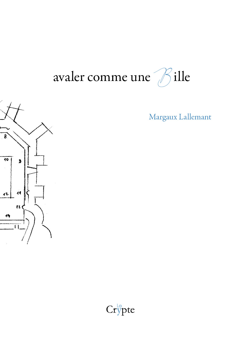 Couv_comme_une_bille_JPEG