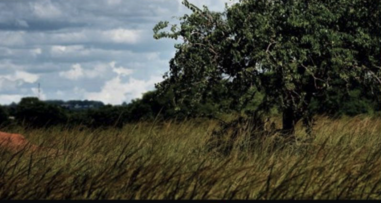 Printemps des poètes 2026