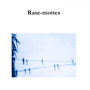 Rase-mottes couv